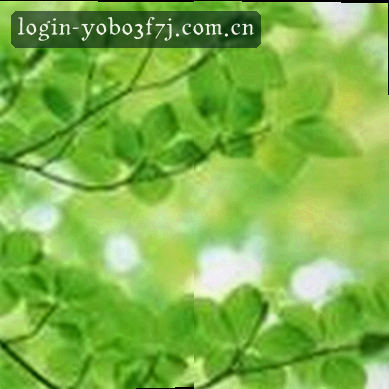 孙丽